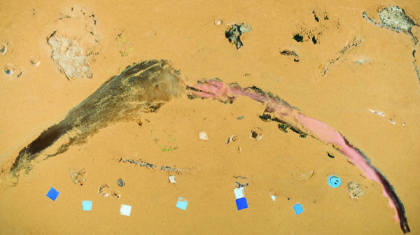 Sigalit Landau, Hands