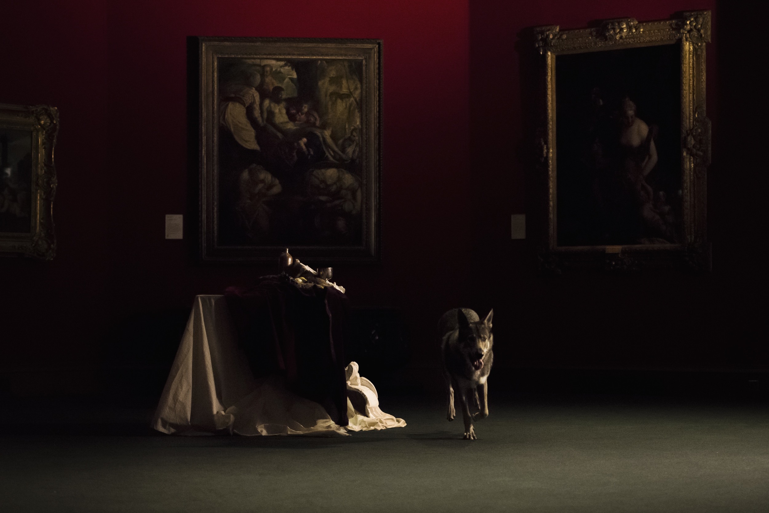 Henry Coombes,​ Two Discs and a Zed