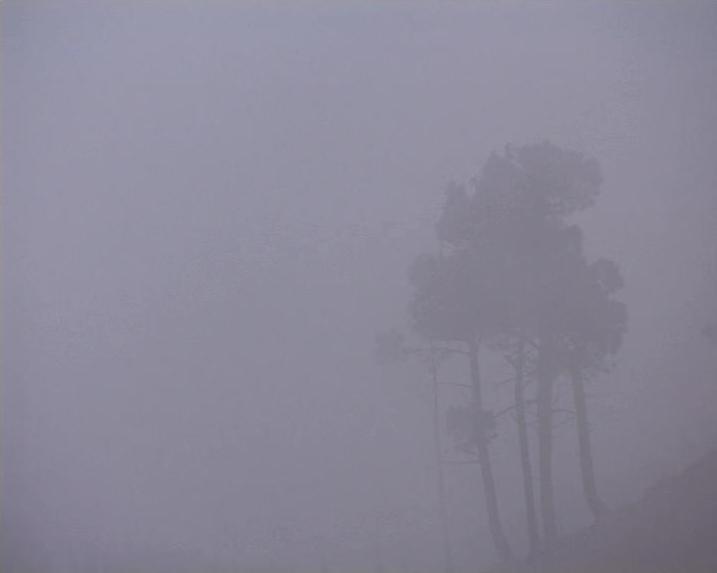 João Penalva, Dokumentarfilm (Doshi, 12 April 2003, 13.34 Uhr)